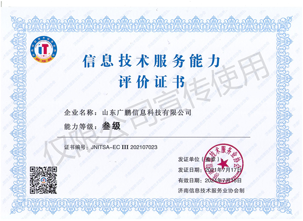 信息技術(shù)服務(wù)能力叁級