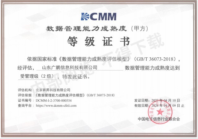 數(shù)據(jù)管理能力成熟度二級(jí)